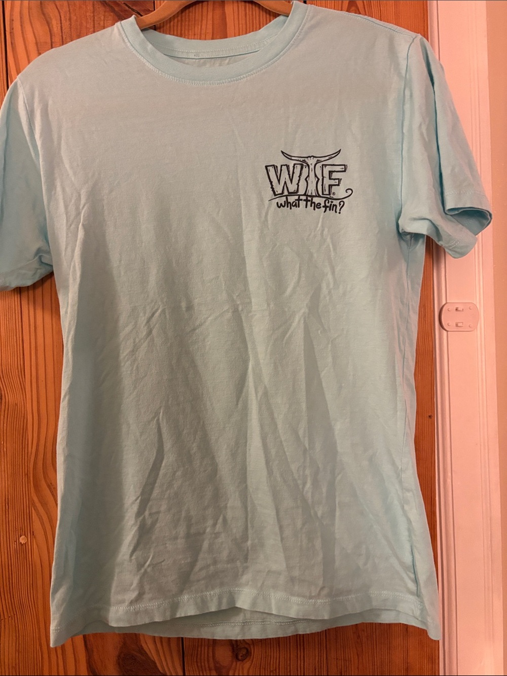 Light Aqua Short Sleeve Graphic Tee for Men